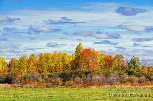 Autumn Landscape_28650.jpg - Photographed near Rosedale, Ontario, Canada.